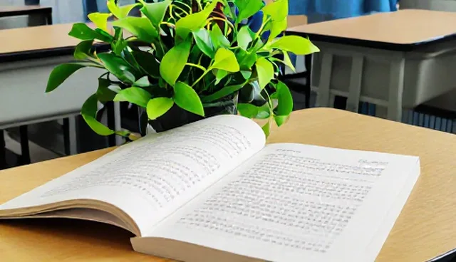 短视频拍摄中数据驱动与传统经验的取舍